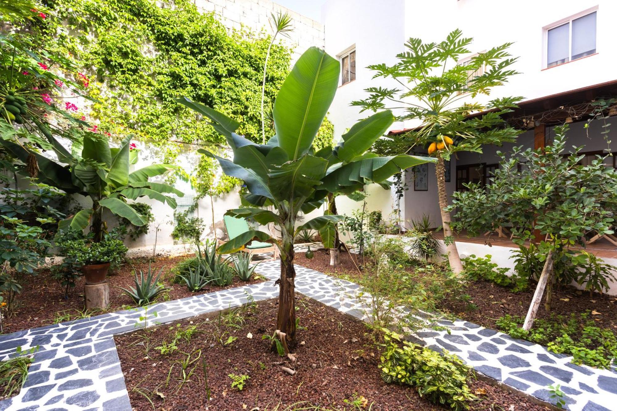 Garachico Center Secret Garden Villa ภายนอก รูปภาพ