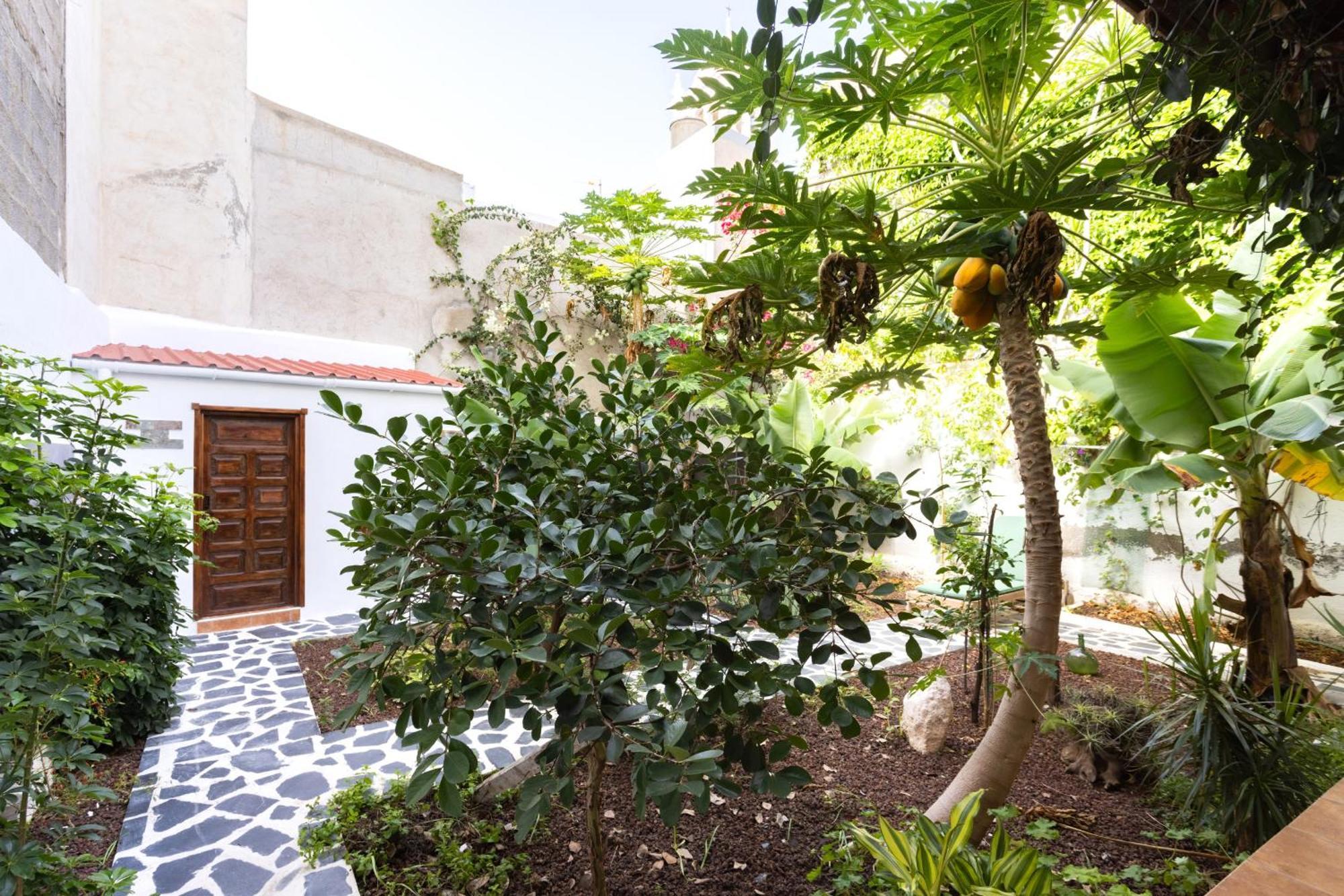 Garachico Center Secret Garden Villa ภายนอก รูปภาพ